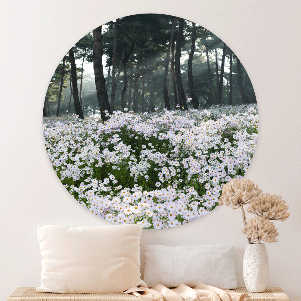 Wanddecoratie Rond