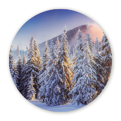 Ronde Schilderijen Bossen & Wouden