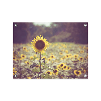 Tuinposters