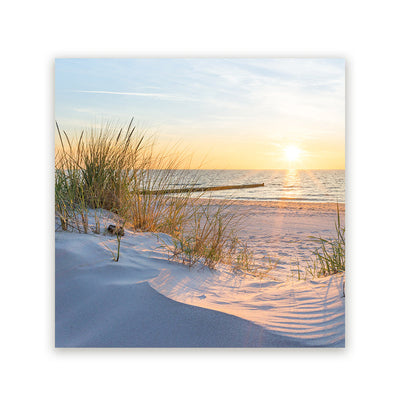 Muurstickers Oude Meesters