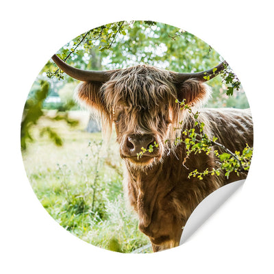 Behangcirkels Landschappen & Natuur